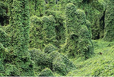 SquareEnix四月在日本举行最终幻想巡回音乐会